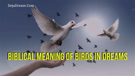 The Symbolism of Birds in Dreams: A Biblical Perspective